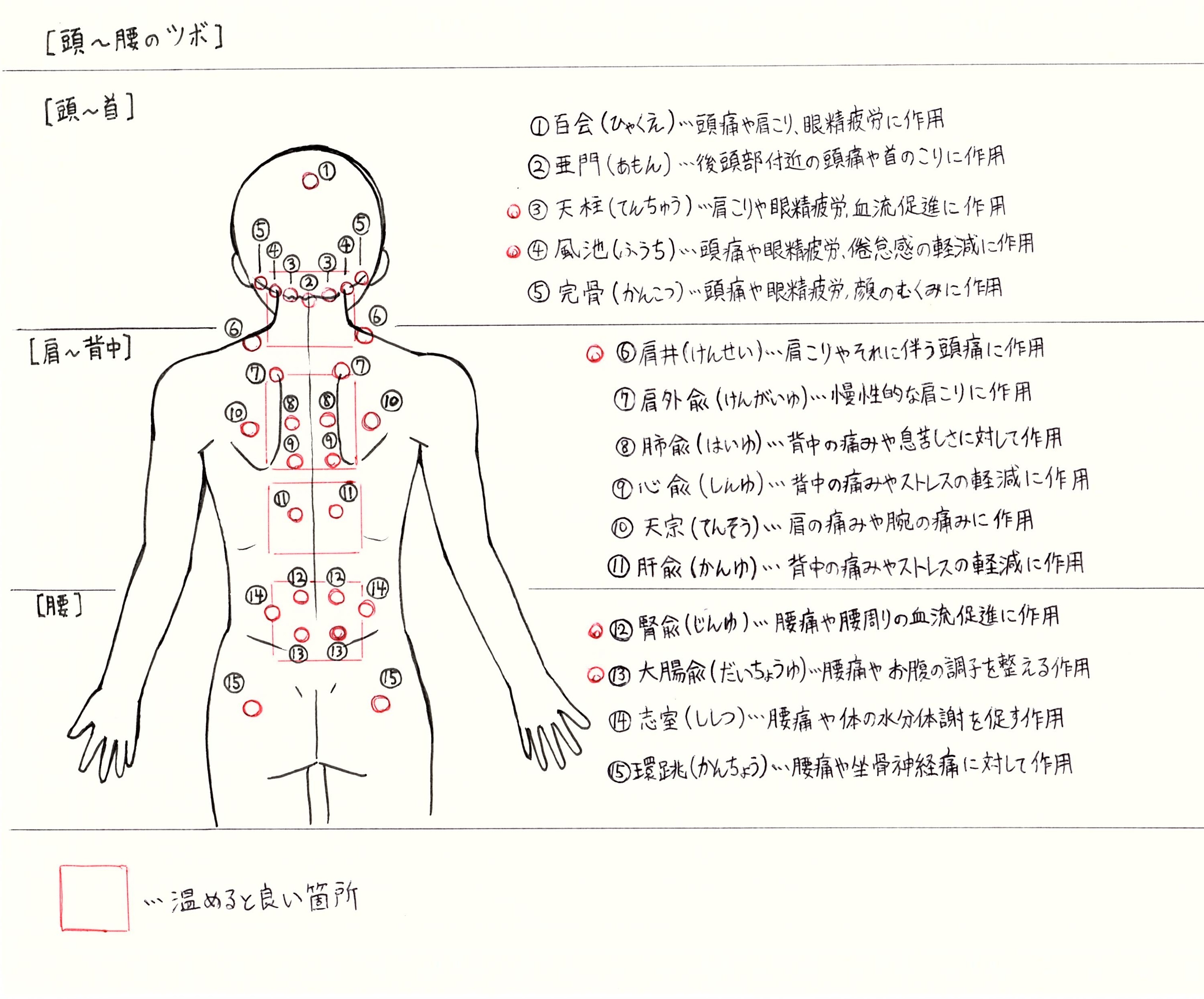 ツボ」を押さえた寒さへの備えを - のぞみ整骨院（接骨院）｜埼玉県深谷市